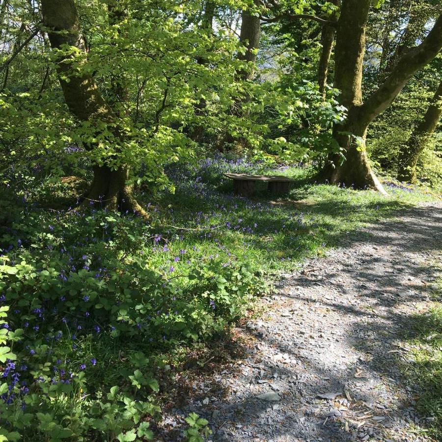 173A Woodland Way Hotel Porthmadog Kültér fotó